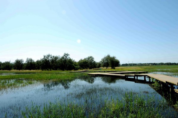 孟津縣濕地局濕地保護(hù)區(qū)水渠及道路項目